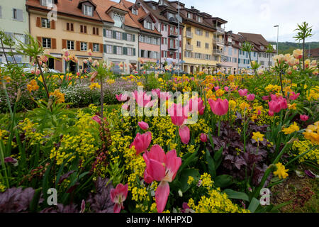 Public garden with colorful flowers in front of a row of houses in Zug, Switzerland, Europe Stock Photo
