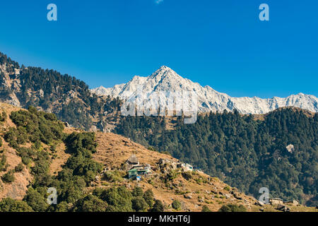 Quartz Himalayan Brothers in Dharamshala | Best Rates & Deals on Orbitz