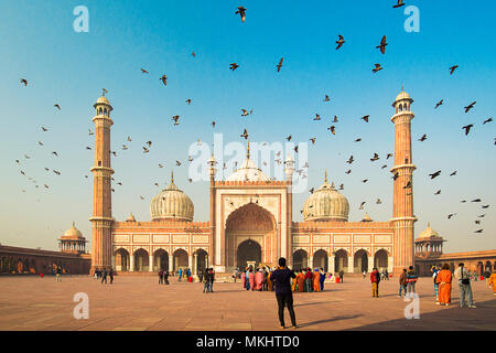 Tourists and pilgrims pray and take a tour outside the principal mosque Jama Masjid in Old Delhi. Birds flying over the mosque at sunrise. India Stock Photo