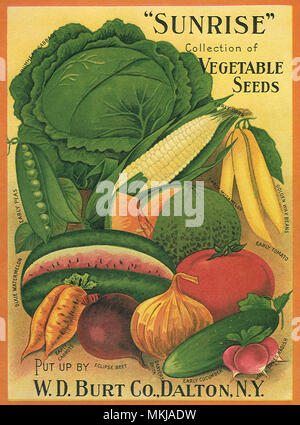 Vegetables Stock Photo