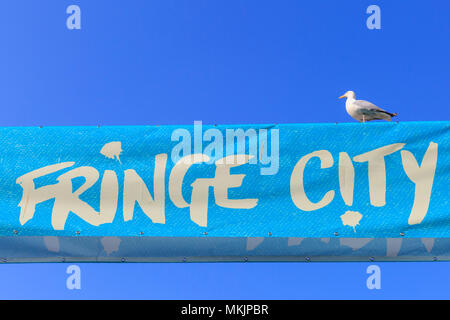 Brighton, East Sussex, 8th May 2018. Brighton Fringe, an open-access arts festival held annually in Brighton, has started and runs fro May 4th-June 3rd. Another beautifully sunny and warm afternoon in the seaside town of Brighton in East Sussex. Credit: Imageplotter News and Sports/Alamy Live News Stock Photo