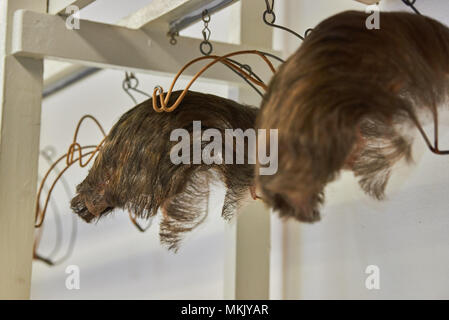 21 April 2018, Germany, Berlin: Two wigs hanging in the make-up room of the German Opera (Deutsche Oper). They are props for the opera 'Don Giovanni'. Photo: Annette Riedl/dpa Stock Photo