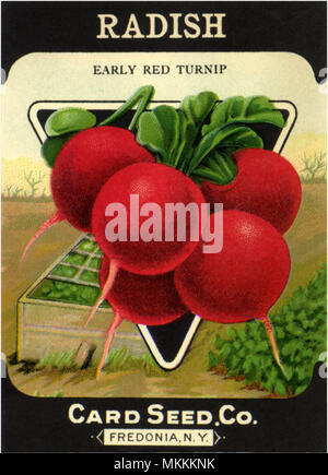 Radish Seed Packet Stock Photo - Alamy