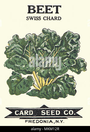 Beet Seed Packet Stock Photo