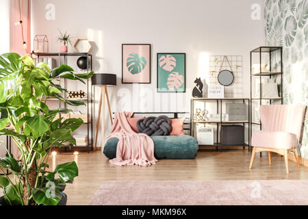 Big monstera plant in a designer living room interior with an emerald green cozy settee and pink elements Stock Photo