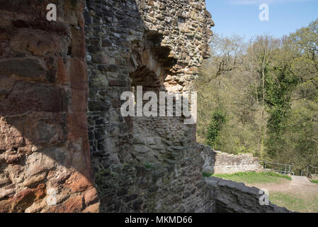 Ruins of Ewloe castle in North Wales. 13th century native Welsh castle hidden away in woodland near the village of Ewloe. Part of Wepre country park. Stock Photo