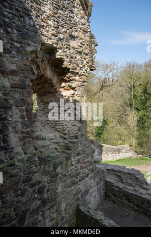 Ruins of Ewloe castle in North Wales. 13th century native Welsh castle hidden away in woodland near the village of Ewloe. Part of Wepre country park. Stock Photo