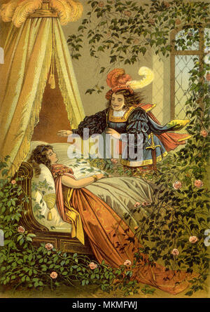 Sleeping Beauty Stock Photo