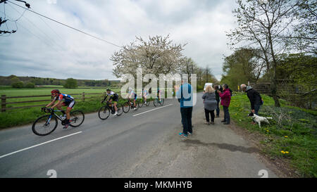 Group of female cyclists competing in Tour de Yorkshire 2018, racing on  flat, scenic, countryside lane near Ilkley, North Yorkshire, England, UK. Stock Photo