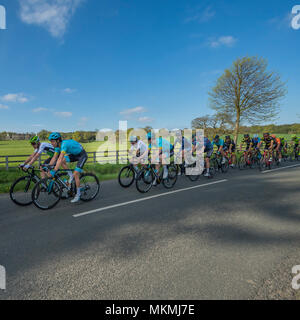 Male cyclists in peloton, competing in Tour de Yorkshire 2018 & racing on  flat, scenic, countryside lane near Ilkley, North Yorkshire, England, UK. Stock Photo