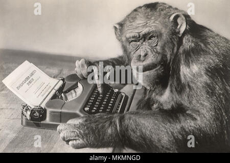 Monkeytype with a monkey typing