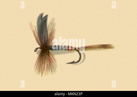 Wet flies hi-res stock photography and images - Alamy