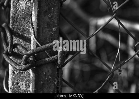 Chain on steel net protect from unauthorized access. Stock Photo