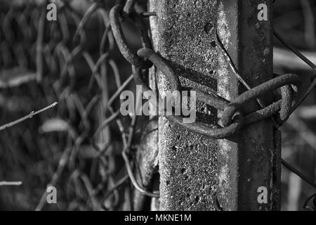 Chain on steel net protect from unauthorized access. Stock Photo