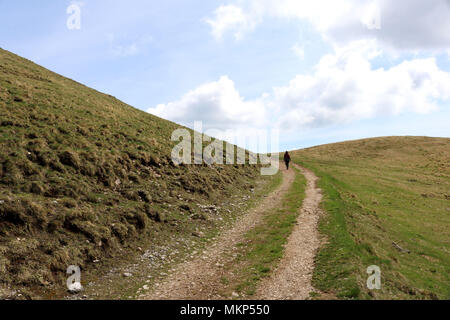 Nature, mountains, and forests in Bucovina, Romania Stock Photo