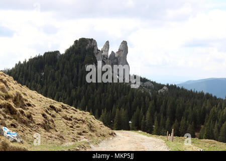 Nature, mountains, and forests in Bucovina, Romania Stock Photo