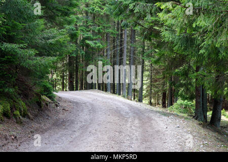 Nature, mountains, and forests in Bucovina, Romania Stock Photo