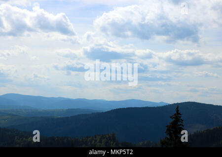 Nature, mountains, and forests in Bucovina, Romania Stock Photo