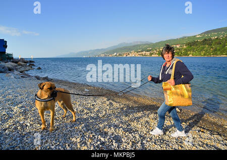 Opatija, Croatia. A woman tourist with a Corso dog on the beach in the morning. Stock Photo