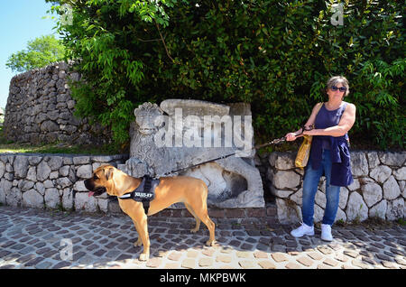 Rijeka, Croatia. Trsat castle.  It is thought that the castle lies at the exact spot of an ancient Illyrian and Roman fortress. A woman tourist with a Corso dog. In the background a bas-relief of the Lion of San Marco recalls the domination of Venice on these lands. Stock Photo