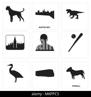 Set Of 9 simple editable icons such as pitbull, austin sky, , can be used for mobile, web Stock Vector
