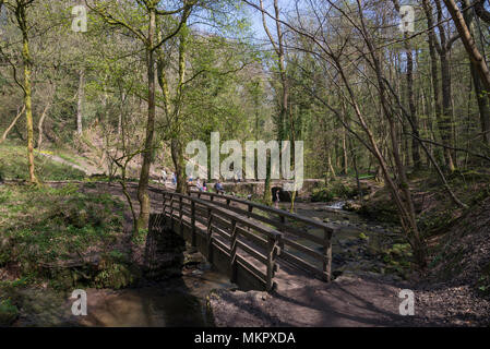 Small bridge over the stream below Ewloe castle at Wepre country park near Ewloe, North Wales. Stock Photo