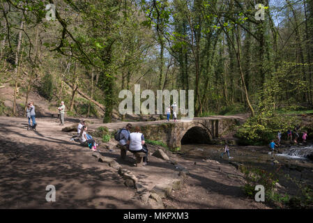 Small bridge over the stream below Ewloe castle at Wepre country park near Ewloe, North Wales. Stock Photo