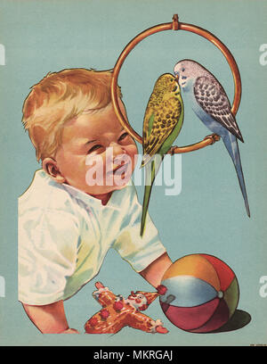 Baby with toys with Two Parakeets Stock Photo