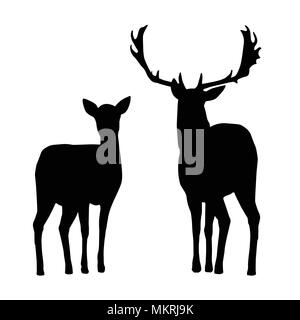 Vector silhouettes of deer and hind, isolated on a white background Stock Vector