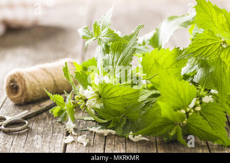 White dead nettle on old wooden table. Stock Photo