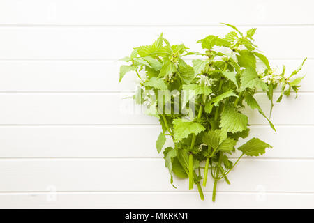 White dead nettle on white table. Stock Photo