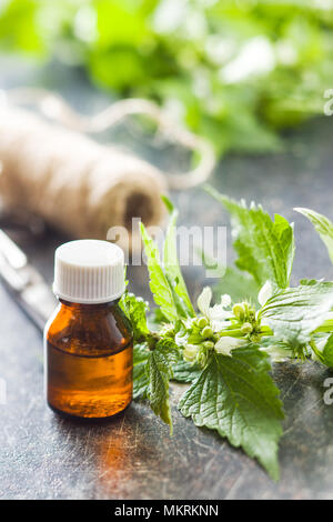White dead nettle with aroma oil. Stock Photo