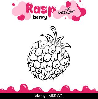 Raspberry vector illustration, berry clipart. Raspberry vector illustration for logo, design. Isolated raspberry vector illustration for menu, package. Hand drawn berry clipart, raspberry isolated Stock Vector
