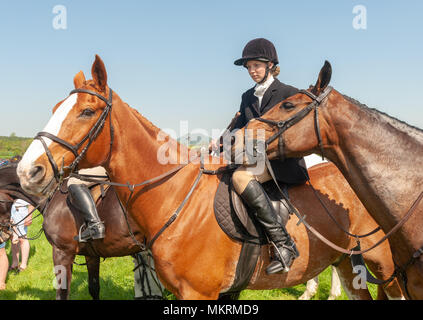 Young women in hunting clothes on horse Eyton on Severn Point to Point 7th May 2018 Stock Photo