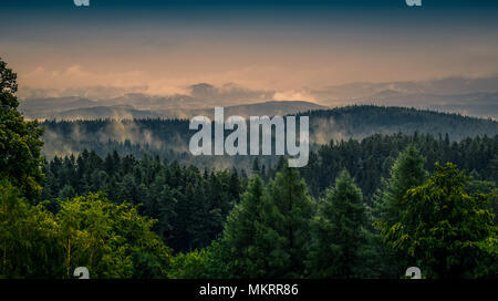 Scenic view on the mountain forest early in the morning with the fog on top of the trees. South of Poland Stock Photo