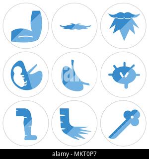 Set Of 9 simple editable icons such as Bronchioles, Foot Bones, Men Leg, Lymphonodus, Stomach with Liquids, Human Fetus, Beard, Big Moustache, Elbow,  Stock Vector