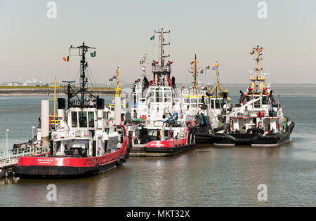 various tugs in the outer harbor of the Dutch port city of Terneuzen Stock Photo