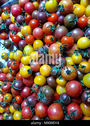 A rainbow of tiny tomatoes make for delicious salads and yummy photographs Stock Photo