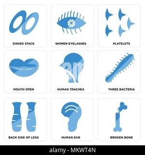 Set Of 9 simple editable icons such as Broken Bone, Human Ear, Back Side Legs, Three Bacteria, Trachea, Mouth Open, Platelets, Women Eyelashes, Dishes Stock Vector