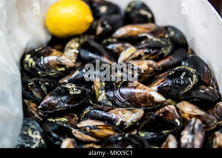 Turkish Street Food Stuffed Mussels / Midye Dolma. traditional food. Stock Photo