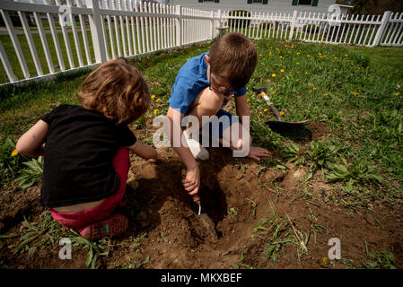 Two children dig in the dirt in a garden. Stock Photo