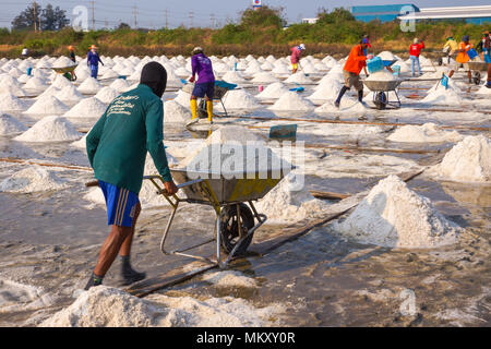 Samut Songkhram, Thailand - March 15, 2015: Workers doing production of  salt in salt farm in Samut Songkhram, Thailand Stock Photo