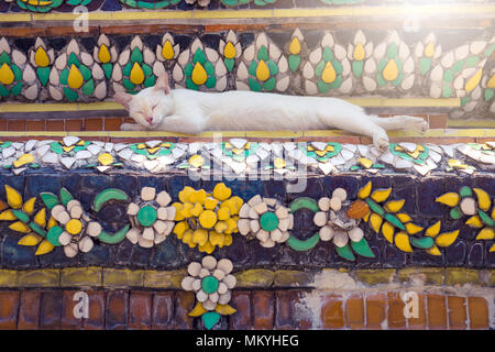Cat sleeping on Pagoda in Buddhist temple in Thailand Stock Photo