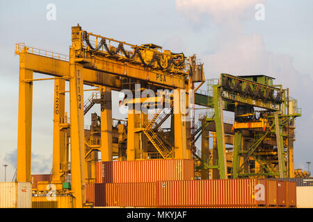 Close up picture of PSA port industrial container cranes in the morning. Stock Photo