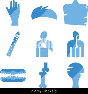 Set Of 9 simple editable icons such as Human Head, Bones Joint, Teeth, Digestive System, Blood Supply Cone Cell, Men Chest, Hair, Hand Palm, can be us Stock Vector