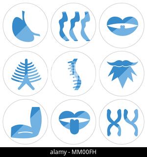 Set Of 9 simple editable icons such as Mascu, Tongue and Mouth, Men Elbow, Beard, Human Spine, Ribs, Tonsil, Small Intestine, Stomach with Liquids, ca Stock Vector