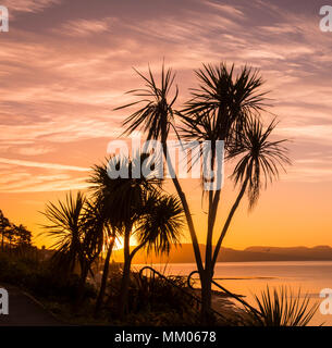 Lyme Regis, Dorset, UK. 9th May 2018. UK Weather: The iconic street lamps and trees are silhouetted against the orange glow of the sky as the sun rises over the Jurassic Coast in Lyme Regis on another fine and sunny morning.  Cooler weather later will bring and end to the heat wave that many have enjoyed this week. Credit: Celia McMahon/Alamy Live News. Stock Photo