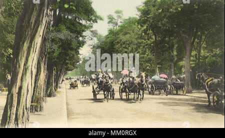 Bois de Boulogne. Paris. 1915 Stock Photo