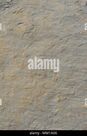 Dark grey black slate background or texture. Stock Photo