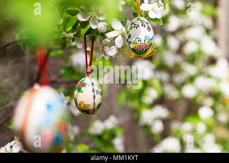 Easter egss hanging on the twig of apple tree in the garden Stock Photo